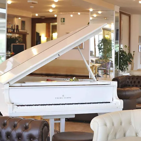 酒店 艾克塞西尔酒店 比比翁