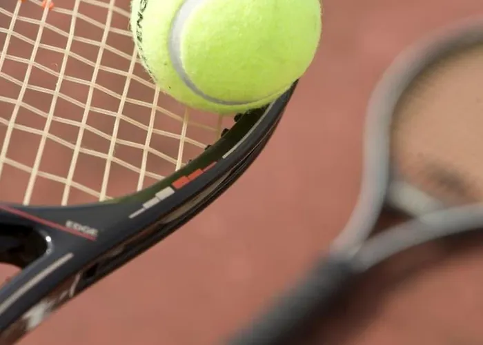 فندق Excelsior 4*