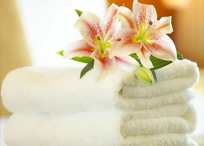 艾克塞西尔酒店 酒店