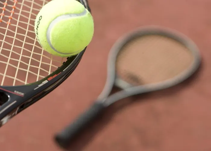 艾克塞西尔酒店 比比翁